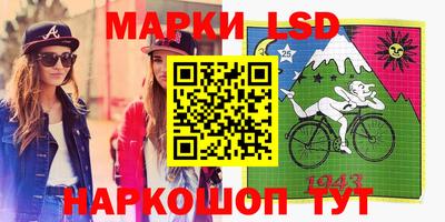 крисы Будённовск