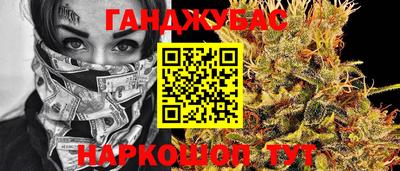 крисы Будённовск