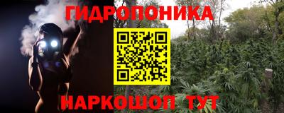 ГАЛЛЮЦИНОГЕННЫЕ ГРИБЫ Бузулук