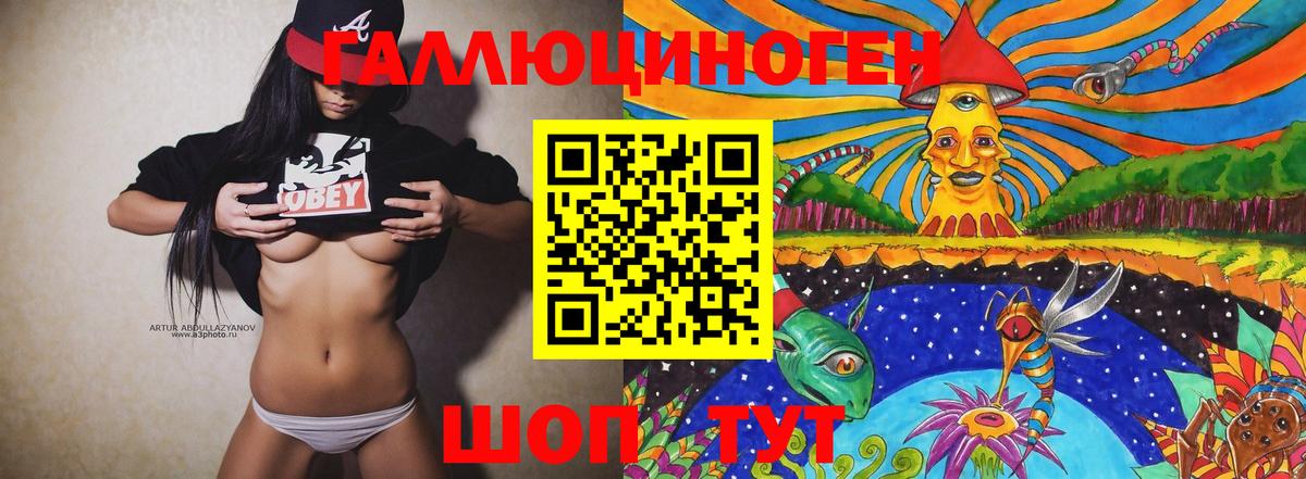 Псилоцибиновые грибы Psilocybine cubensis Коряжма