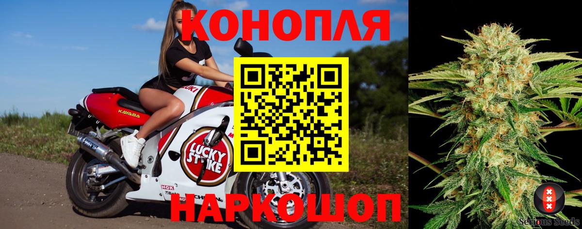 Коряжма  Конопля планчик  Бошки марихуана планчик  Вход с VPN  Шишки марихуана тримм 
